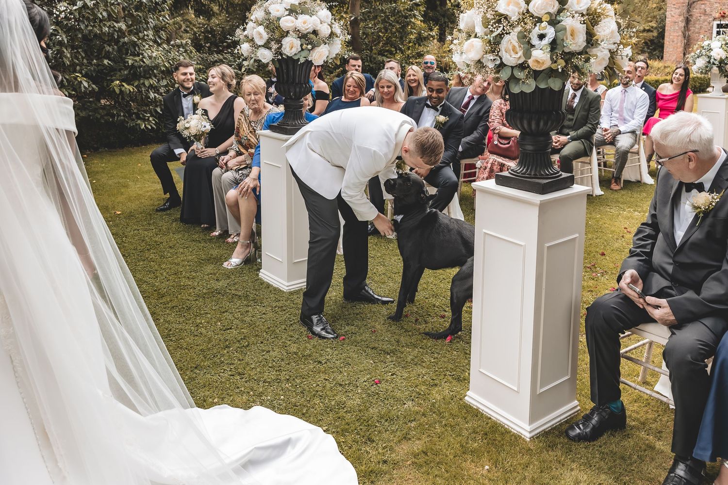 Emotional documentary moment a dog brings the wedding rings at an outdoor wedding ceremony.