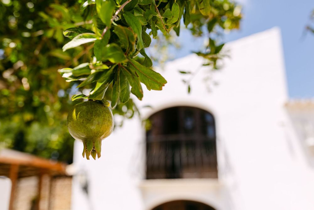 Algarve countryside surrounding Monte do Serrinho wedding venue