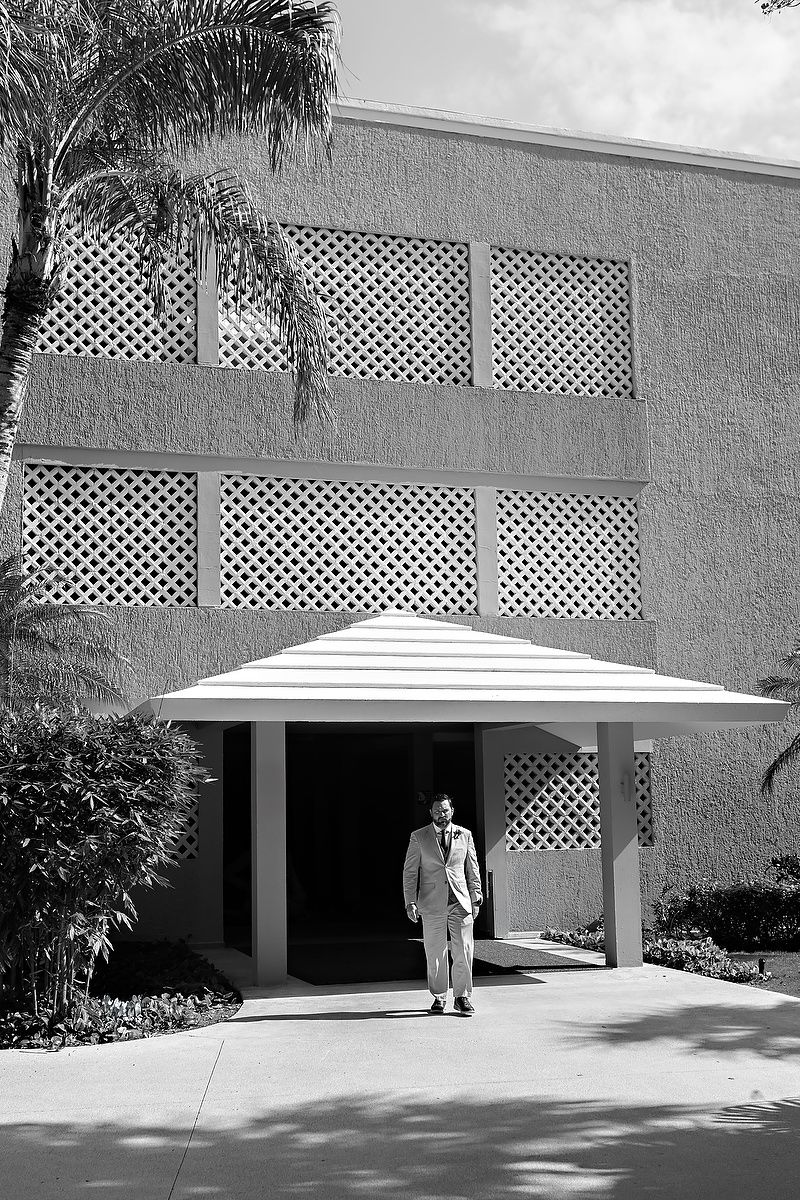 Mid-century modern building entrance with lattice panels and curved white awning, with palm tree casting shadows.