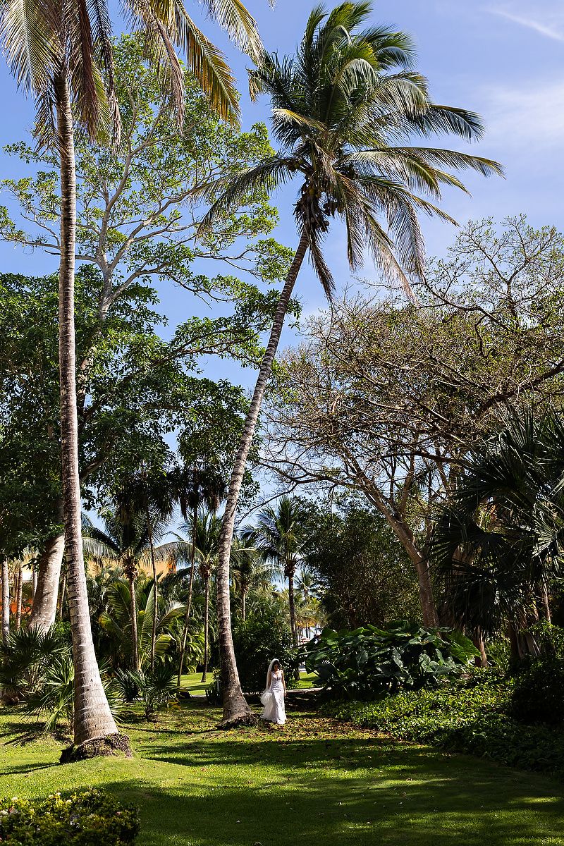 Bride walking through tropical garden during destination wedding in Riviera Maya Mexico.