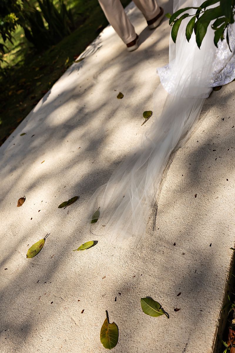 Dappled sunlight creates shadow patterns on light colored stone or concrete ground.