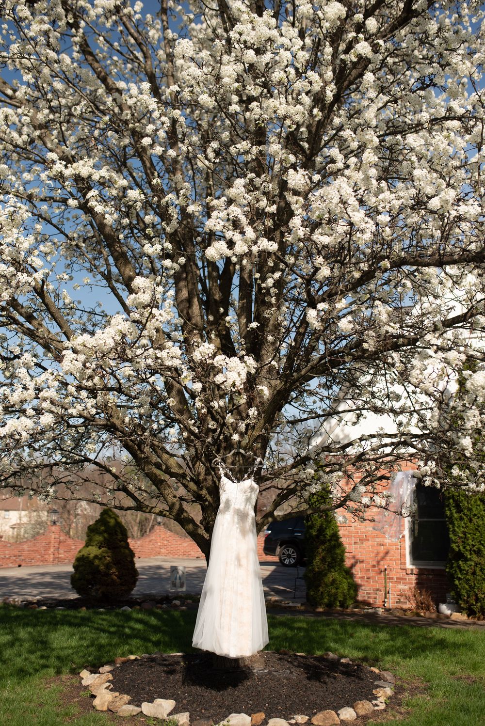 White wedding dress hanging on a blossoming spring tree with white flowers in a garden setting.