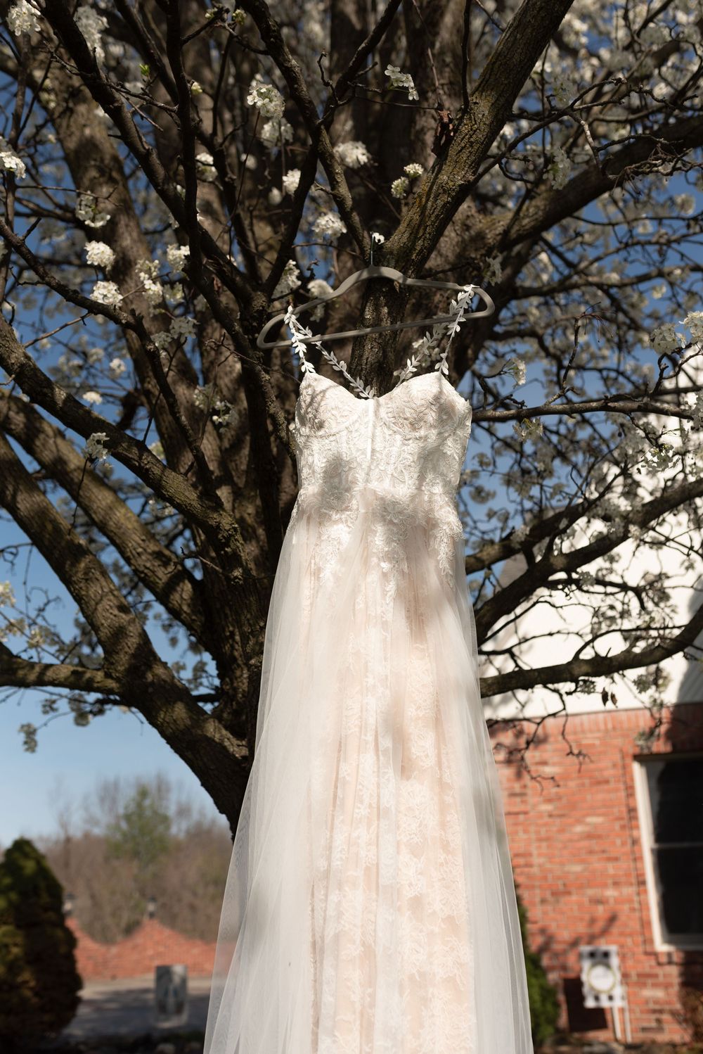 White lace wedding dress hanging on a blooming spring tree outdoors with blue sky and brick building background.