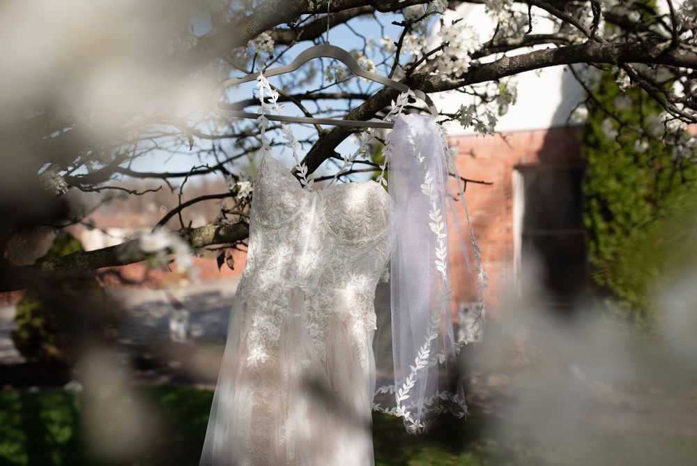 A lace wedding dress and veil hanging from a blossoming tree branch outdoors near a brick building.