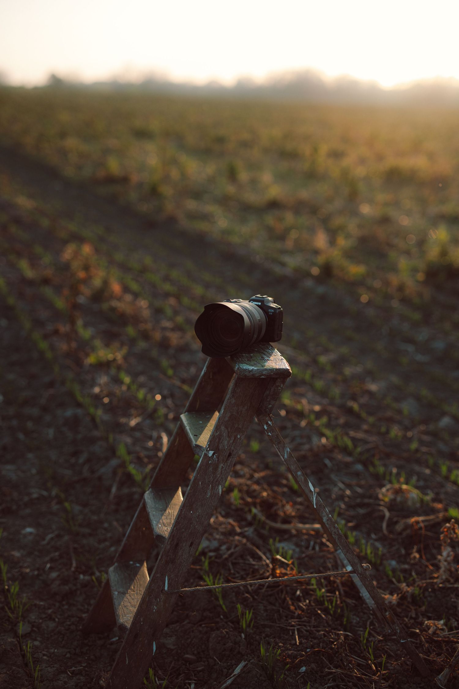 A DSLR camera resting on a wooden ladder in a misty field at golden hour sunset.