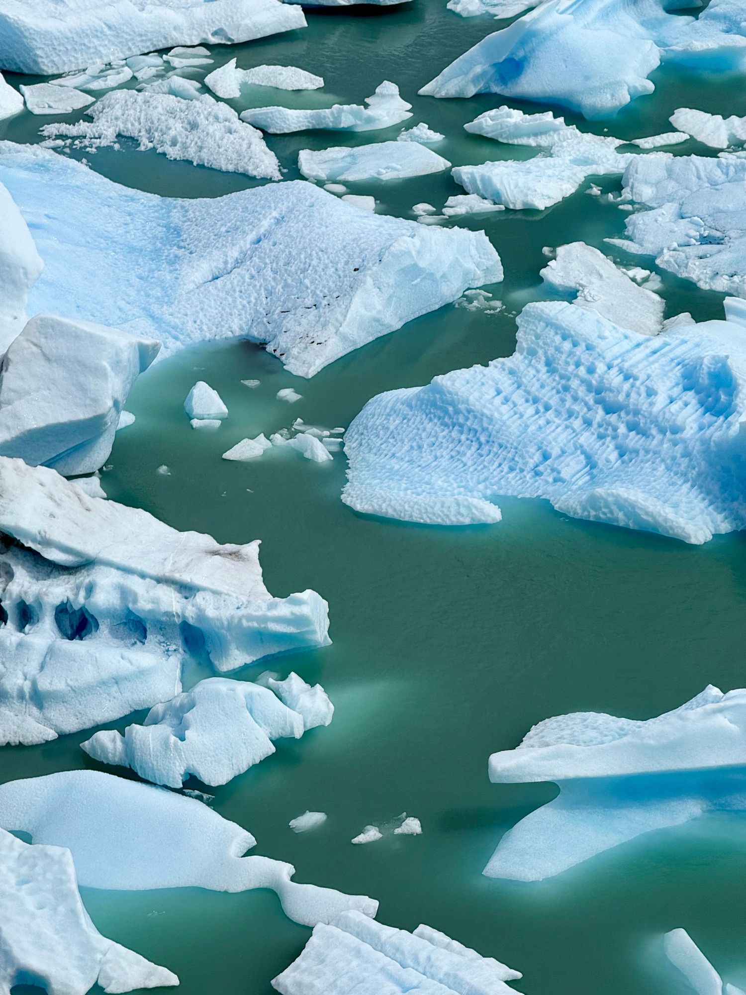 Floating blue and white icebergs drift in turquoise glacial meltwater in a stunning Arctic landscape.