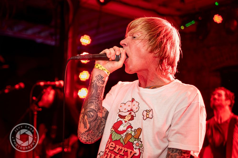 Evergreen Terrace