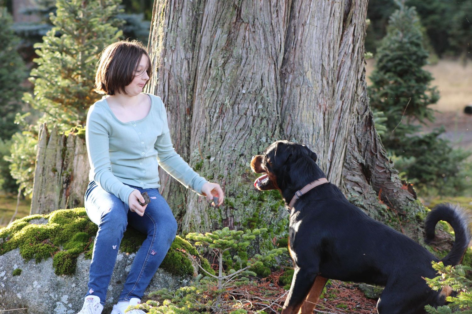 Child sitting with dog outdoors near tree, relaxed lifestyle moment