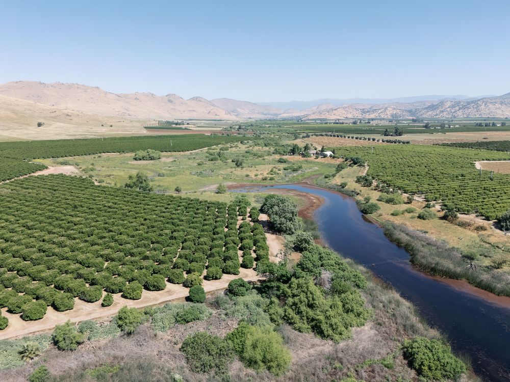 Aerial view of lush green orchards alongside a winding river with mountains in the background under a clear blue sky.