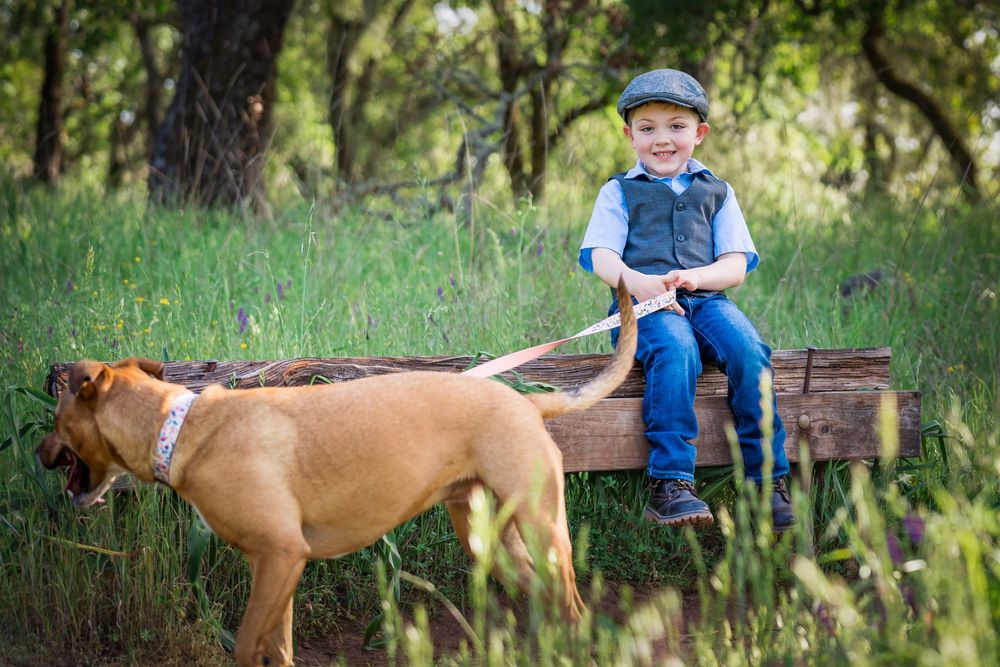 A dog and someone in denim and a blue cap sitting on a wooden cart in a lush green outdoor setting.