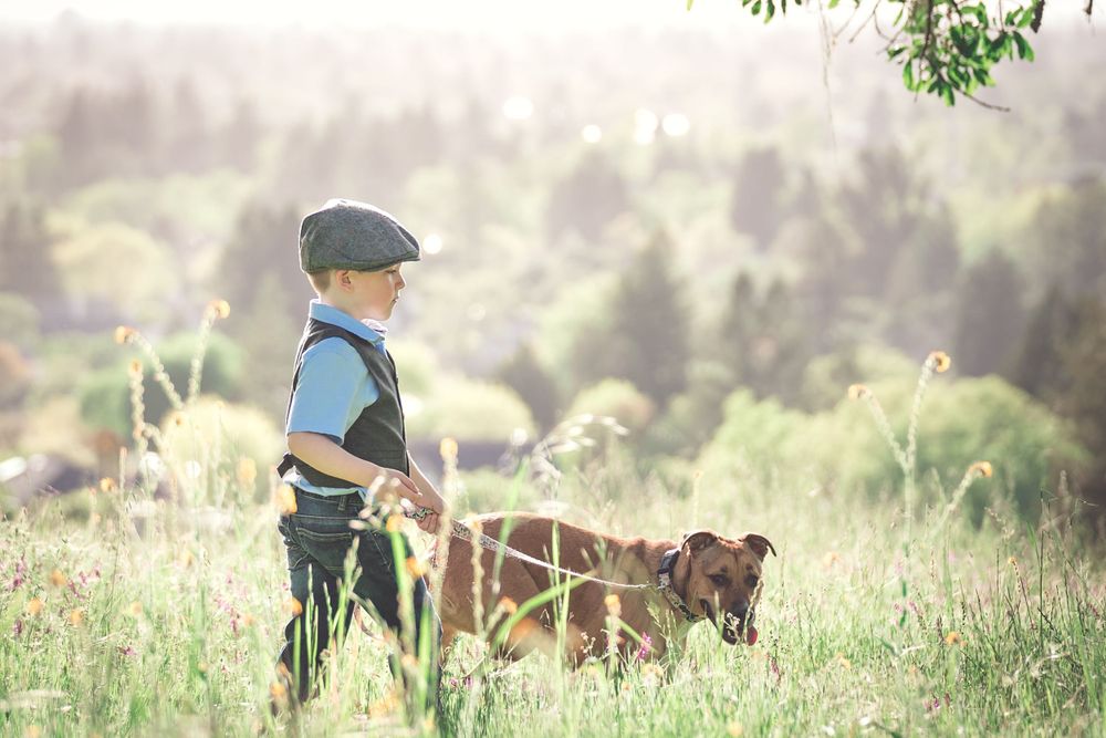 Young child in a cap walks with a brown dog through a sunlit meadow on a summer day.