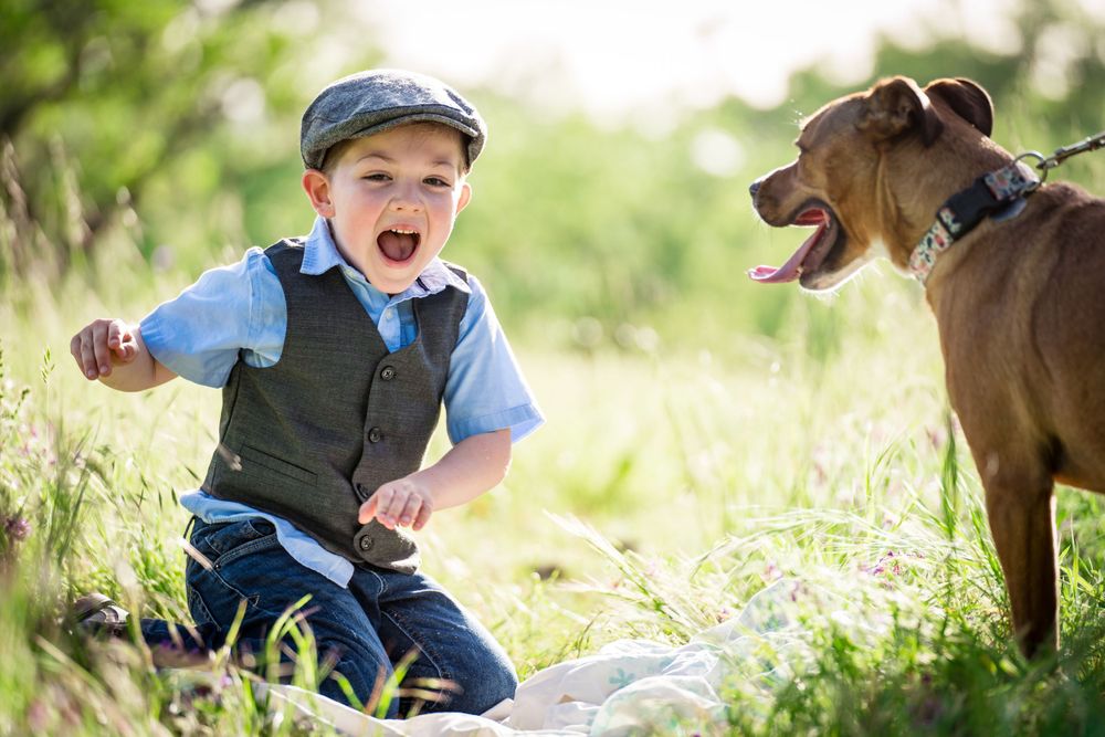 A young child in a cap shares a joyful outdoor moment with a brown dog in a grassy meadow.