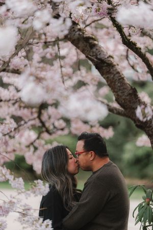 Couple sharing a romantic kiss under blooming cherry blossom trees with soft pink flowers in spring.