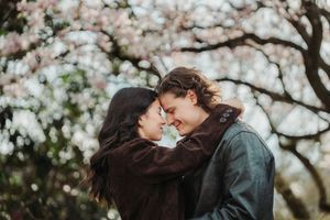 Romantic couple touching foreheads tenderly under blooming cherry blossom tree in spring.