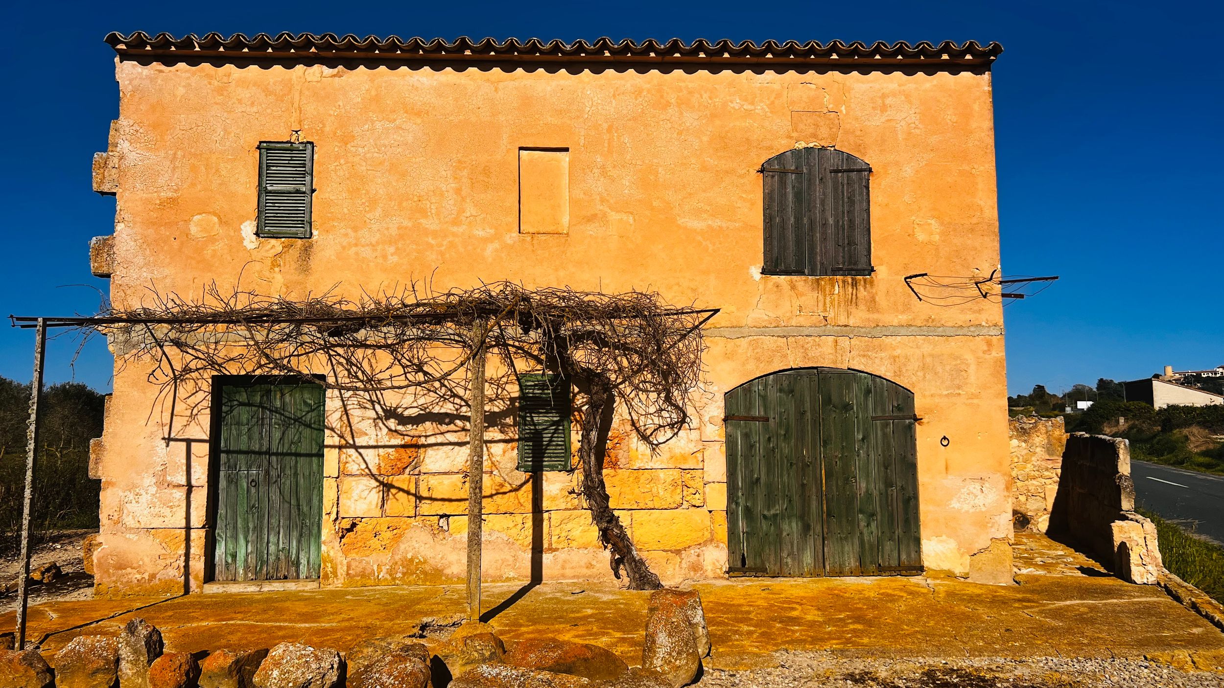 Rustic orange Mediterranean building with green wooden doors, climbing vines, and weathered walls bathed in warm golden sunlight.