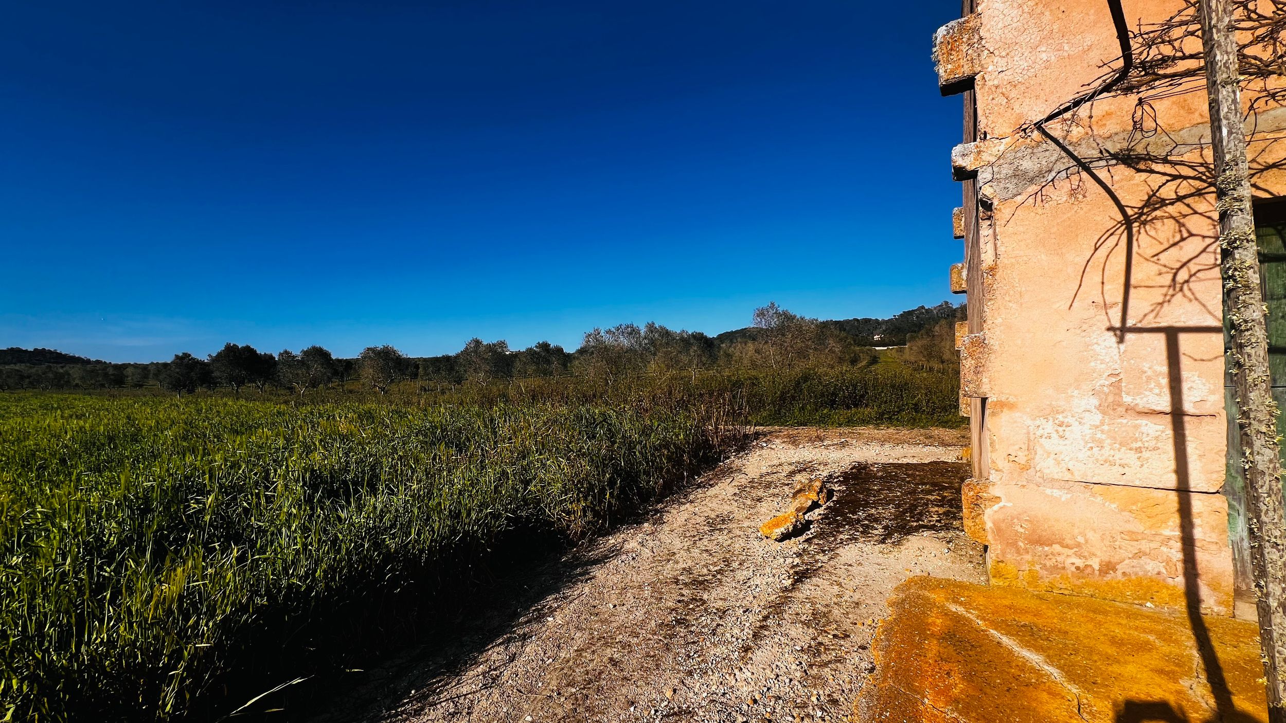 Weathered stone building corner overlooking lush green fields and dirt path under vivid blue sky in rural Mediterranean landscape.
