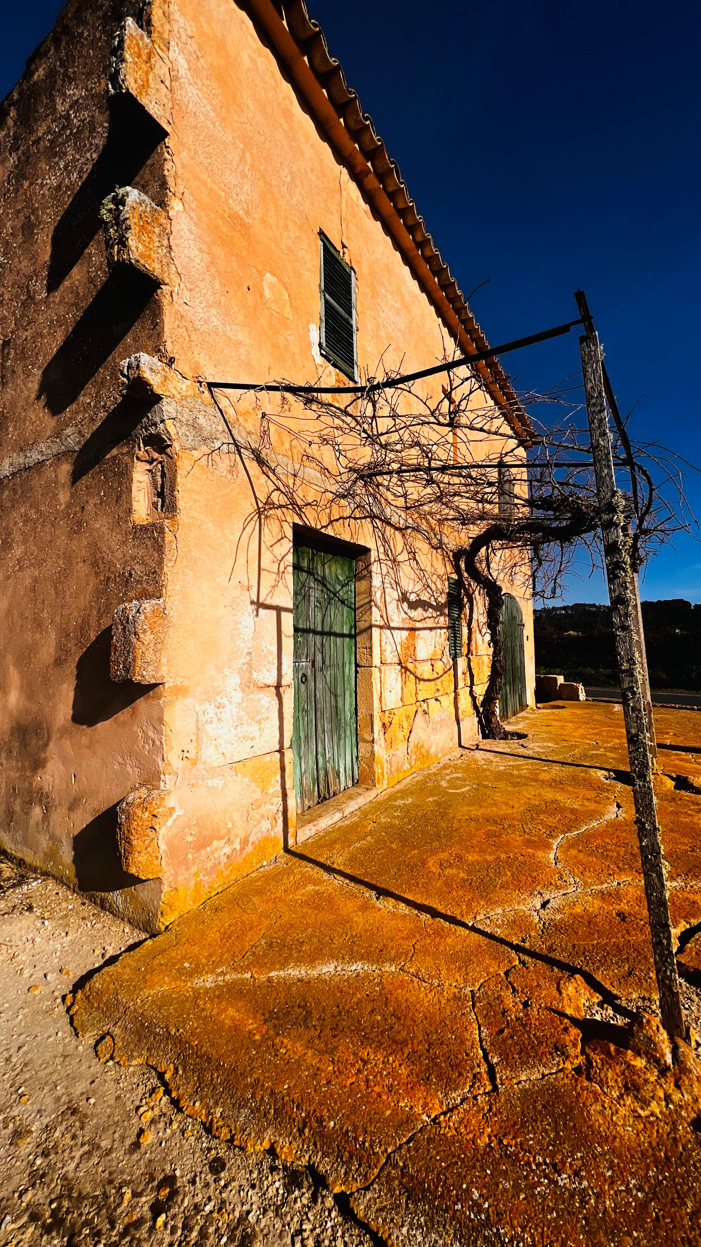 Rustic orange farmhouse with weathered green door, bare vine trellis, and cracked patio under vivid blue sky.