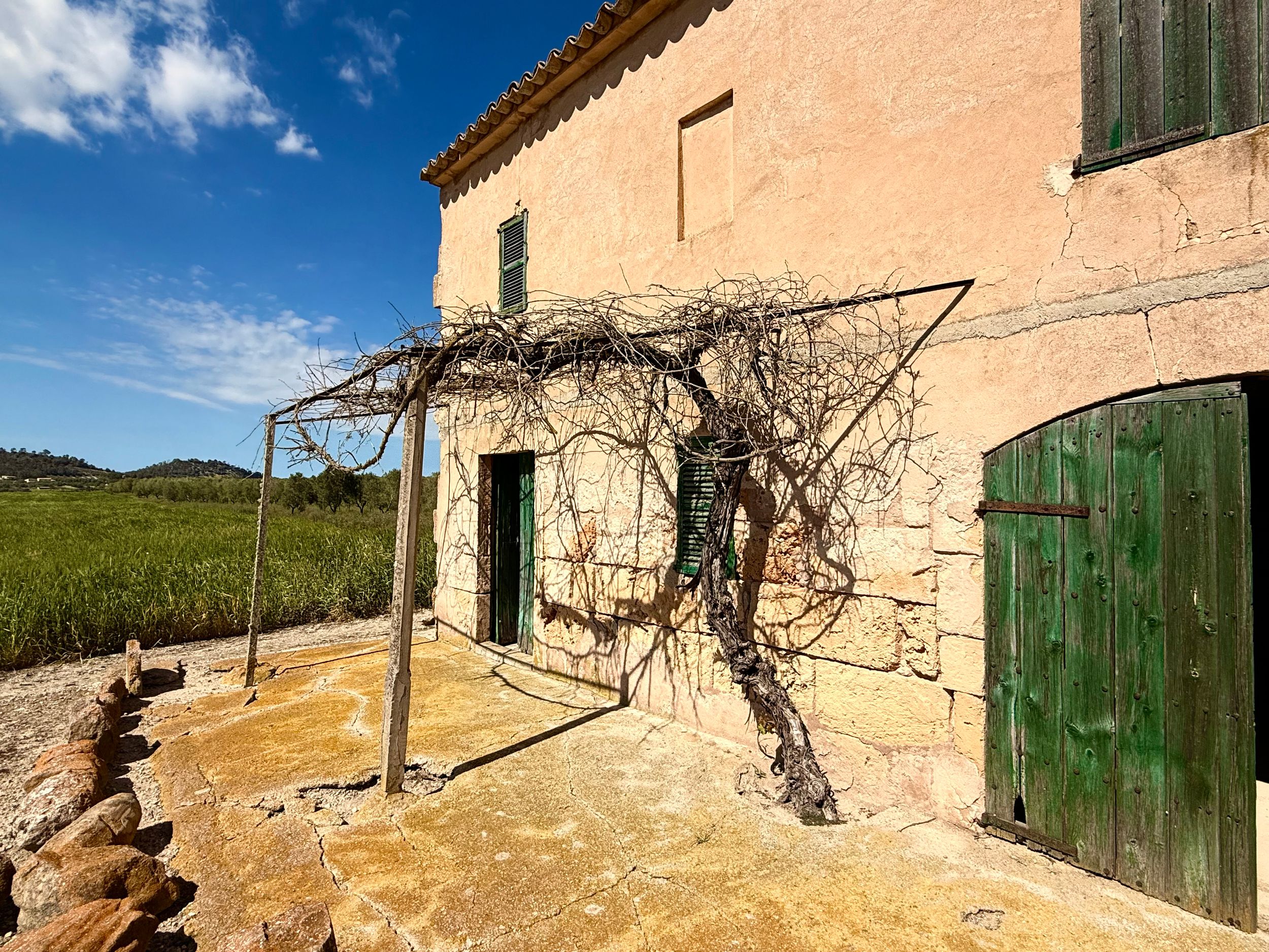 Rustic stone farmhouse with green wooden doors and bare climbing vines on a pergola under a blue sky.