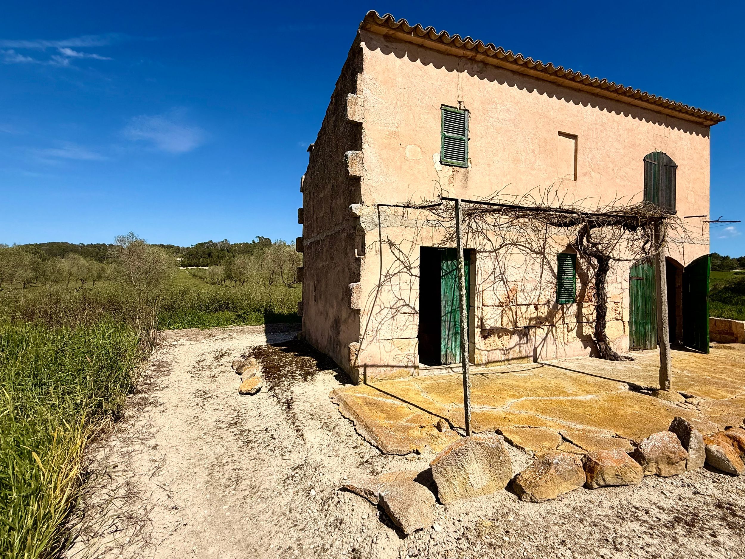 Rustic two-story stone farmhouse with green shutters, vine-covered facade, and sandy path surrounded by lush greenery under blue sky.