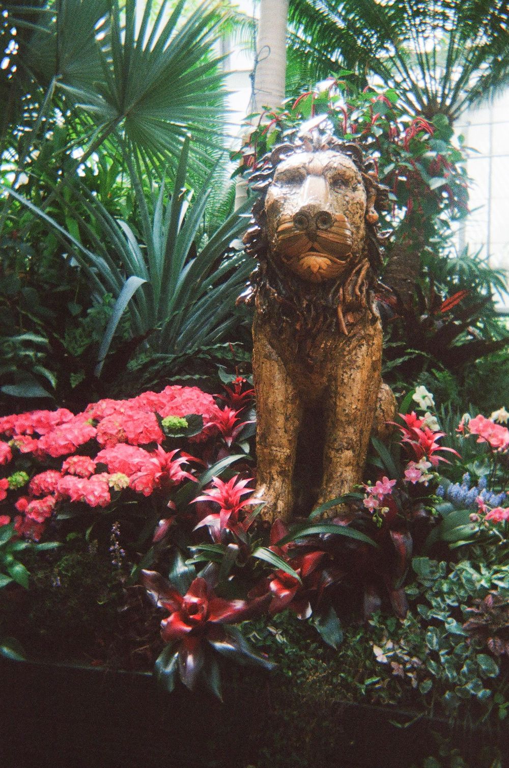 Film photography at The Biltmore North Carolina