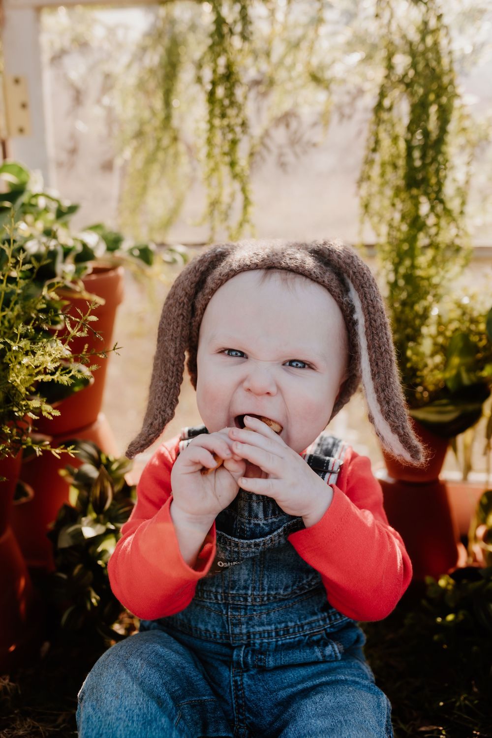 Baby in bunny ear hat and denim overalls chewing on a treat surrounded by potted plants.