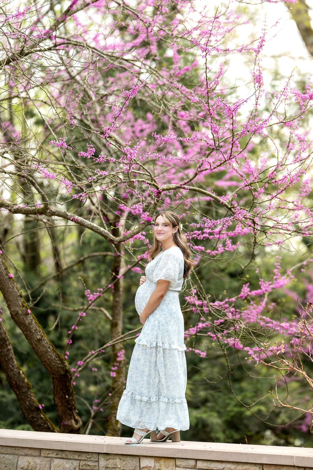 Smiling pregnant woman in white floral dress standing beside blooming pink redbud tree in spring garden.