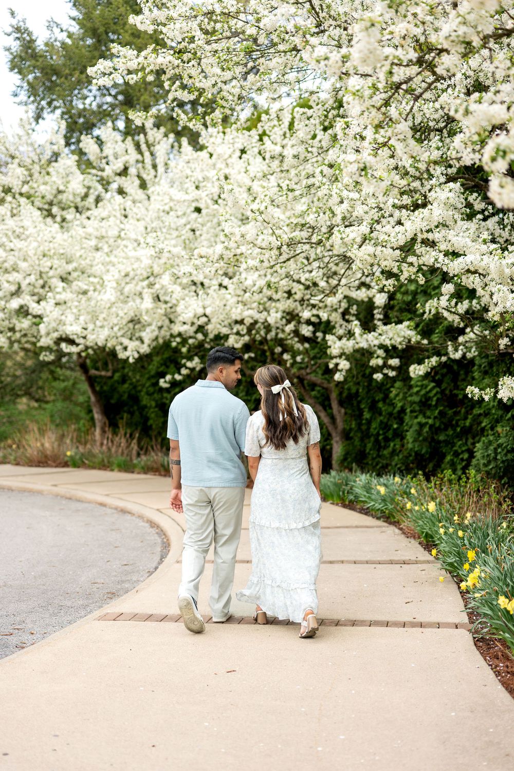 Couple walking hand-in-hand on a path surrounded by blooming white spring trees.