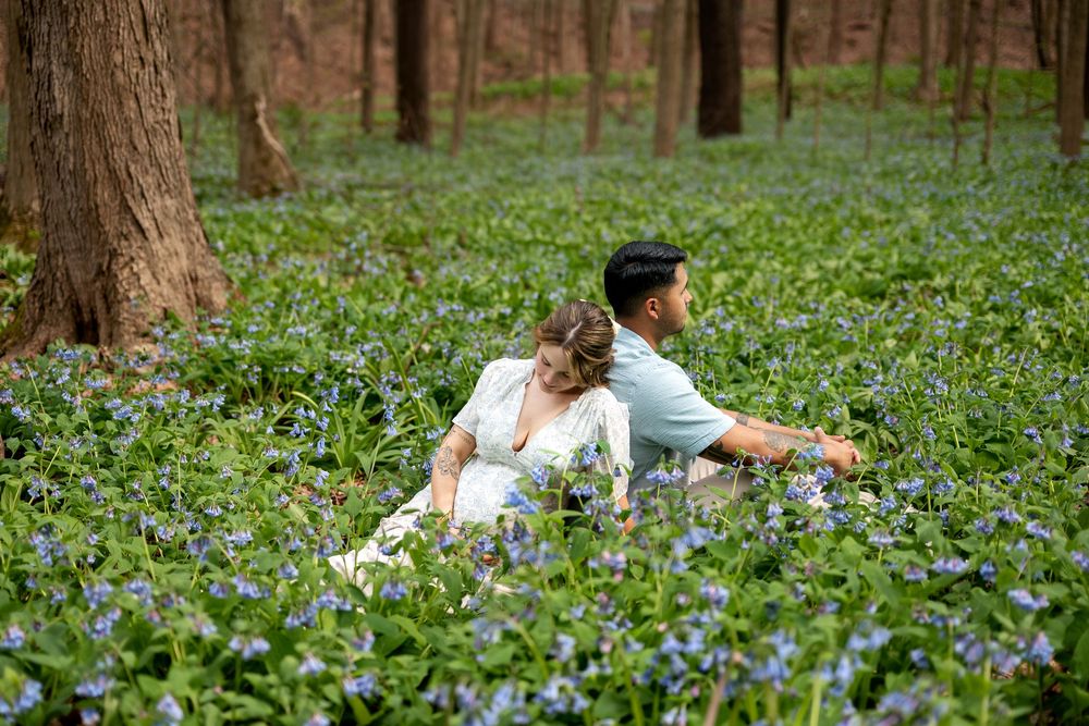 Couple sitting back-to-back among blue wildflowers in a serene forest setting.