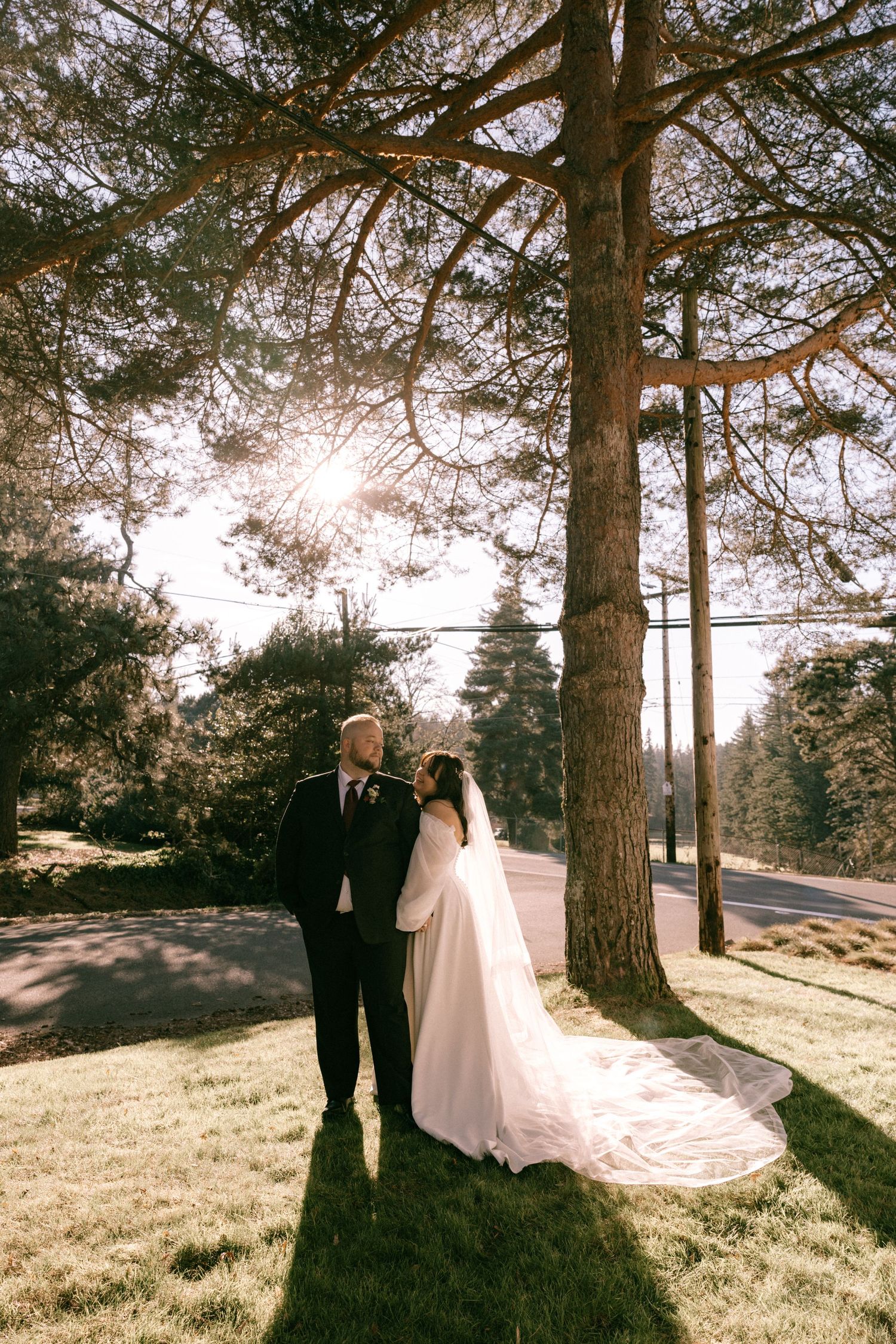 Bride and groom stand beneath a sunlit pine tree, her flowing white veil trailing on green grass.