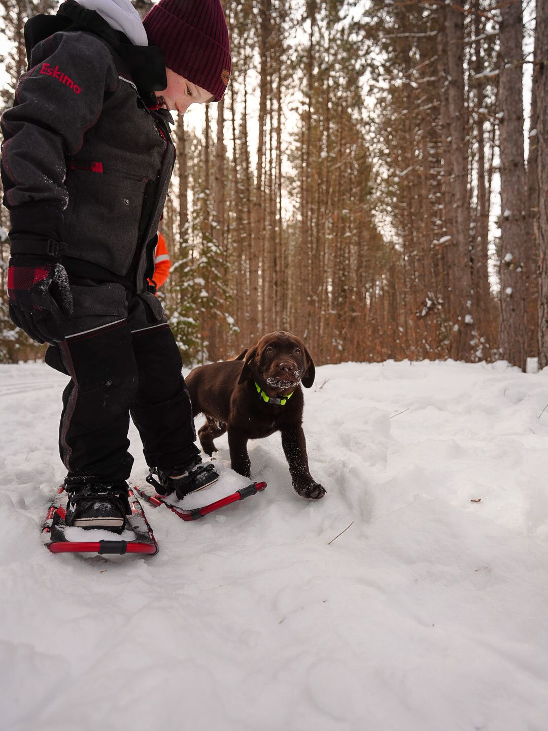 Winter outdoor scene showing snowshoeing activity in a snowy forest setting.