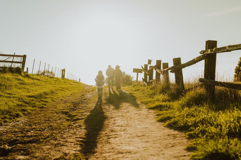 Dirt path leading uphill at sunset with wooden fence posts casting long shadows across golden grassy landscape.