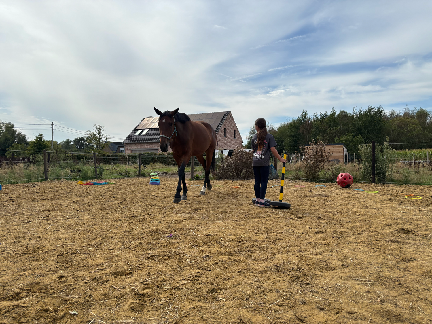Individuele coaching met Issy