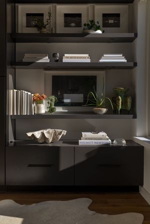 Stylish black shelving unit displaying books, plants and decorative objects with built-in storage below.
