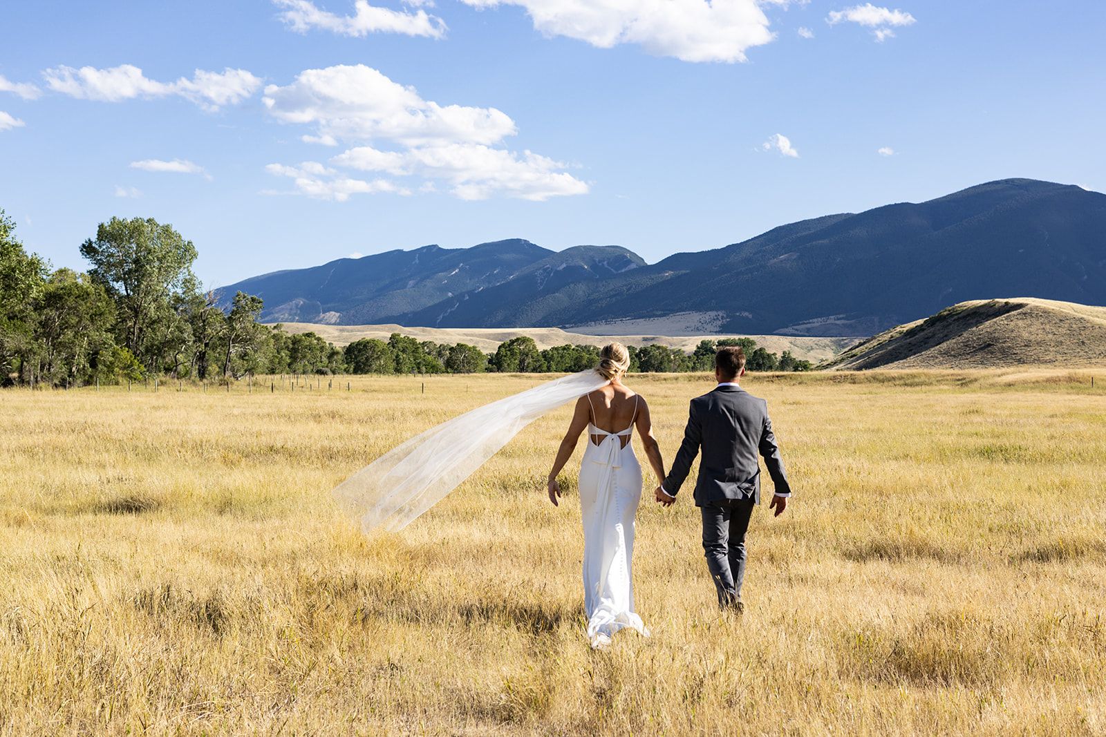 Newlyweds walk hand in hand through golden mountain meadow with veil flowing.