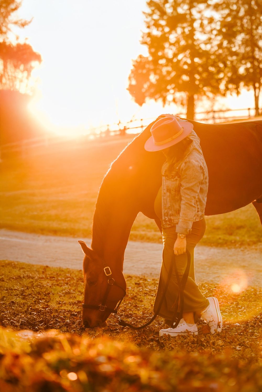 A silhouetted figure stands beside a horse in a golden sunset while fallen autumn leaves scatter the ground.