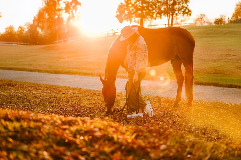 Silhouetted figures enjoy a scenic sunset walk in a golden-lit park on a warm evening.