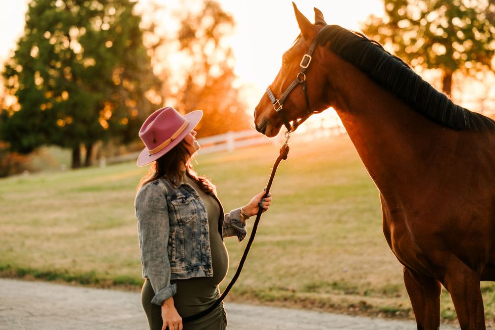 A polo player rides a brown horse during sunset on a grassy field with golden light illuminating the scene.