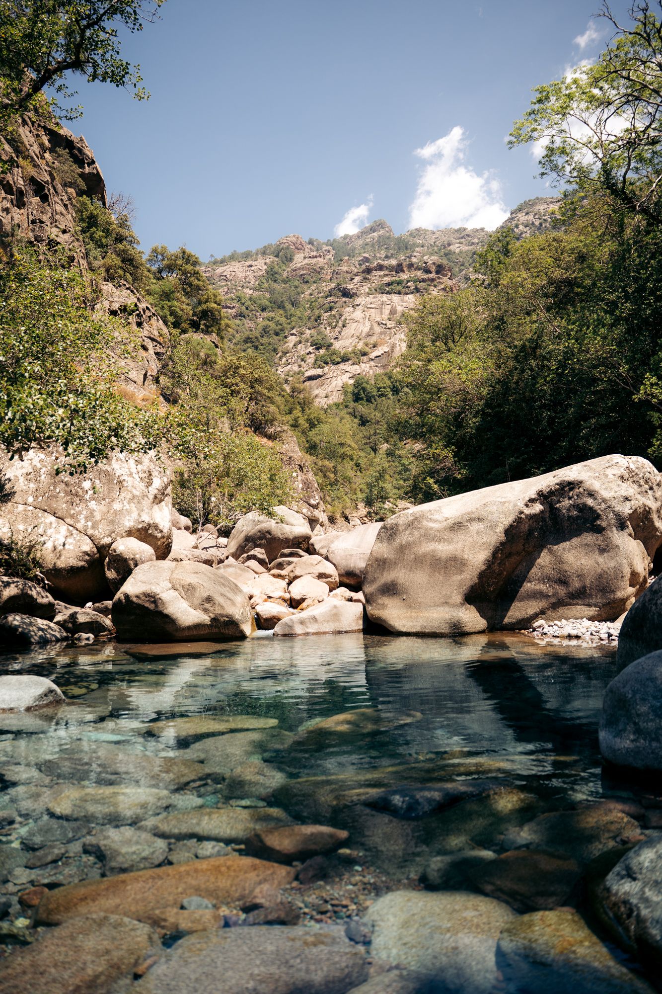 rivière de ficaghiola dans la foret de bonifatu