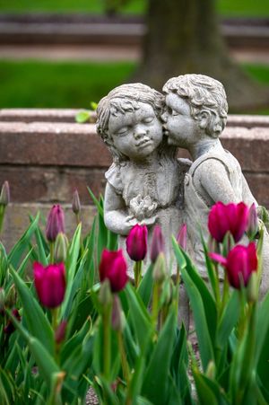 Garden statue of two children kissing amid blooming pink tulips and green foliage in spring garden setting.