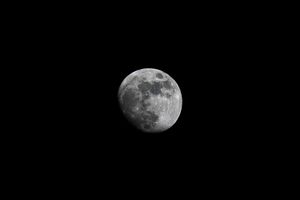 A detailed black and white photograph of a bright full moon against a dark night sky showing visible lunar craters.