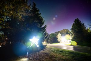 Light painting creates glowing orbs and streaks among dark trees in a nighttime landscape.
