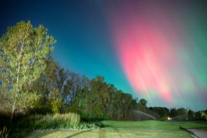 Stunning aurora borealis displays pink and turquoise colors over a nighttime forest landscape.