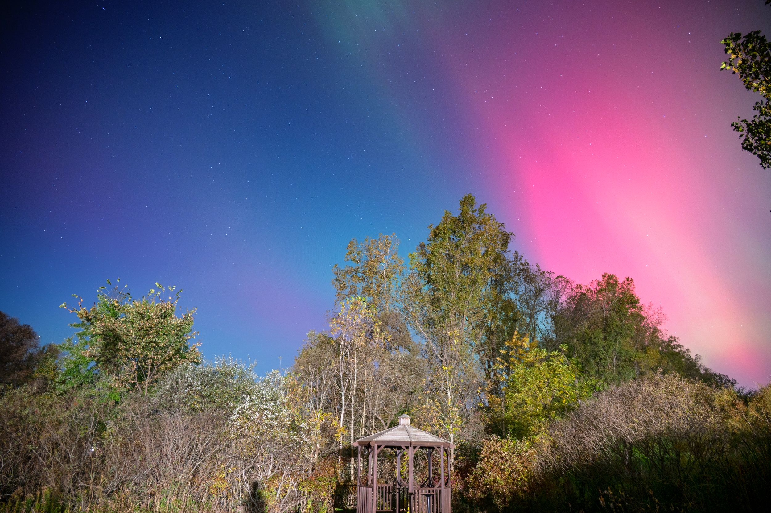 Northern lights create a dramatic pink and blue display above trees and a wooden structure.