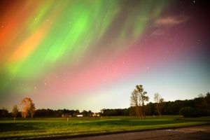 Vibrant aurora borealis displays pink and green colors across a rural night sky over dark silhouetted trees.