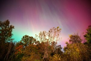 Multicolored aurora borealis illuminates the autumn forest with pink, green and turquoise hues.
