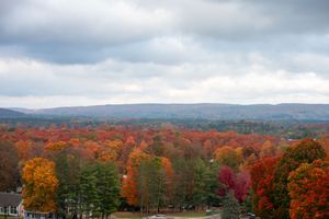 Panoramic view of rolling hills covered in vibrant autumn foliage with mountains in the distant background.