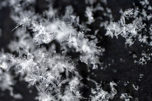 Delicate white snowflakes with intricate crystalline patterns photographed against a dark black background.