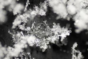 Delicate white snowflakes and ice crystals form intricate patterns against a dark background.