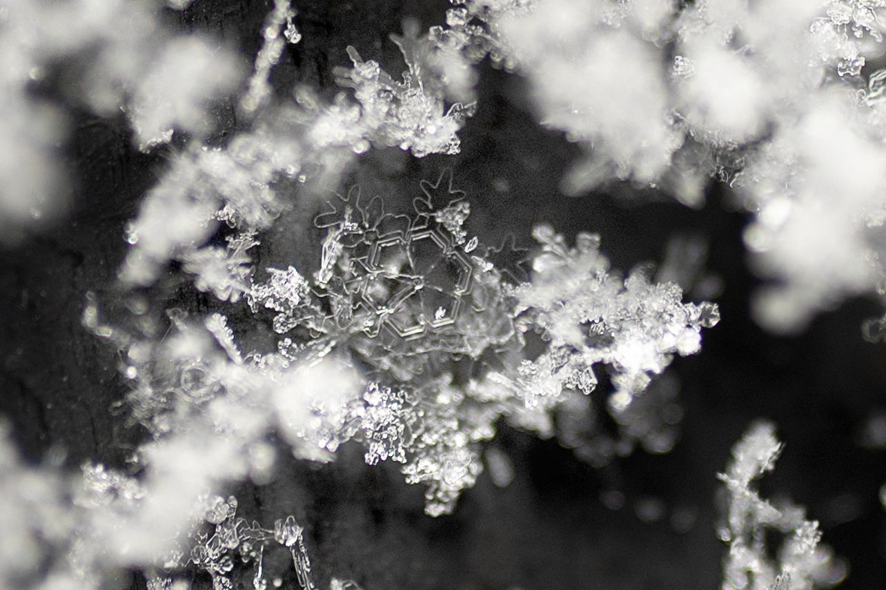 Delicate white snowflakes and ice crystals form intricate patterns against a dark background.