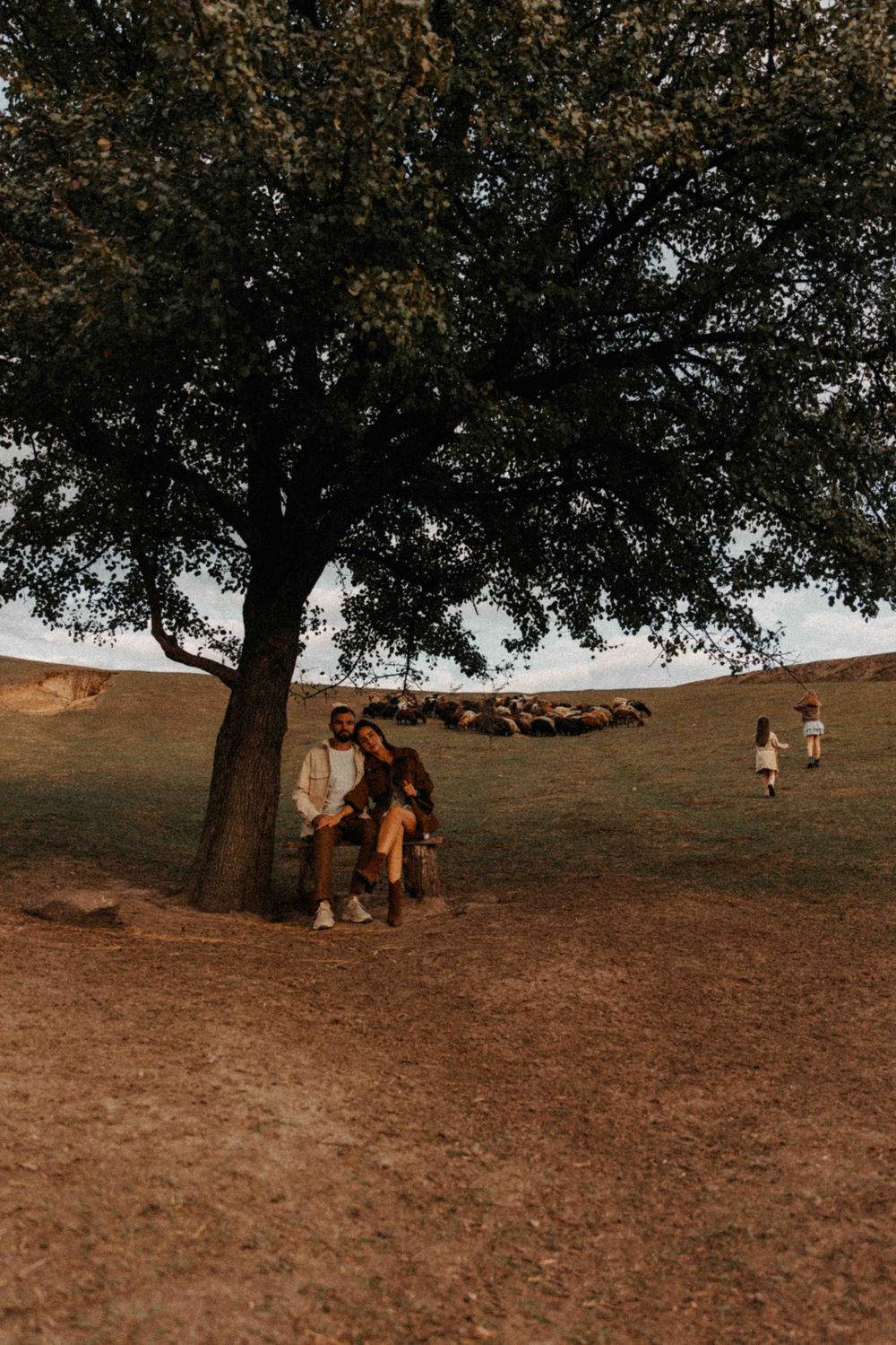 People standing beneath a large tree on a dusty hill during golden hour in a rustic countryside setting.